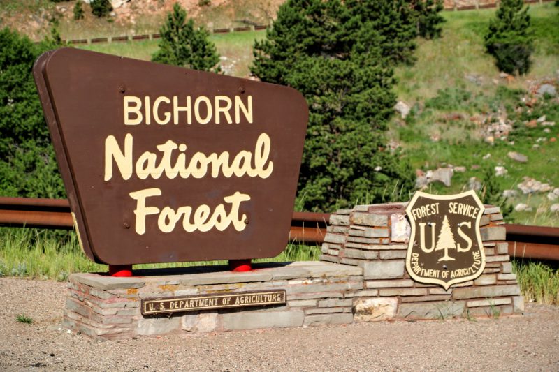 Bighorn National Forest