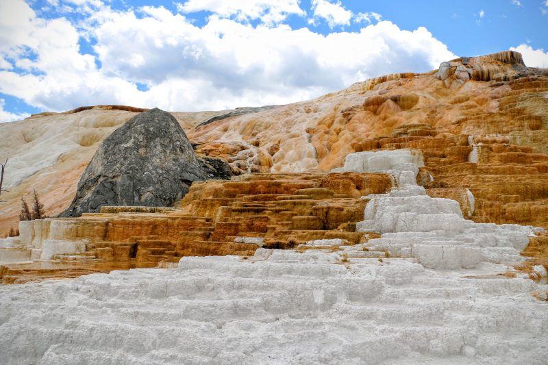 Lower Terraces Mammoth Hot Springs Yellowstone National Park