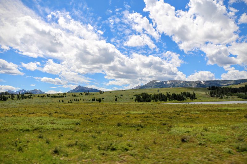 Reisverslag Yellowstone National Park