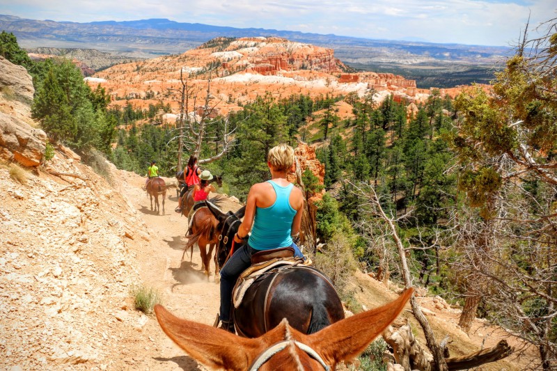 Paardrijden in Bryce Canyon National Park