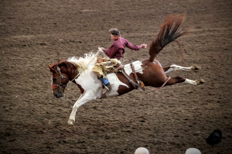 Rodeo in Cody