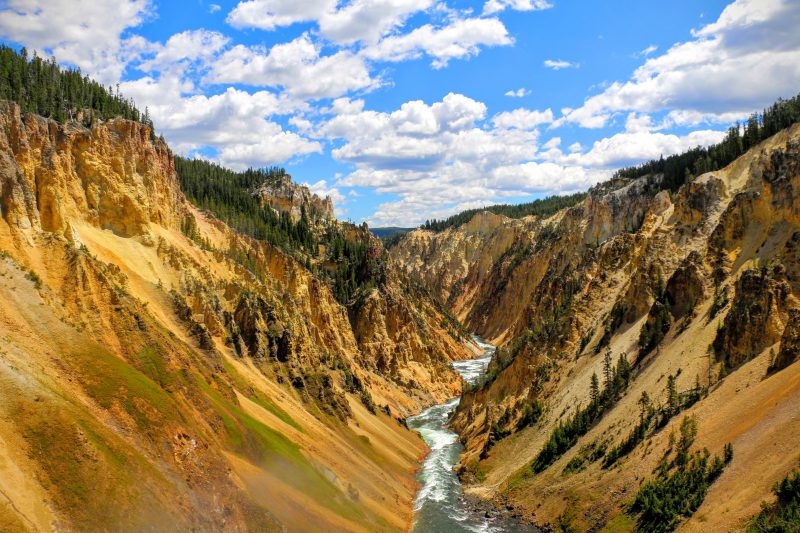 Canyon Yellowstone