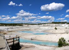 Norris Geyser basin