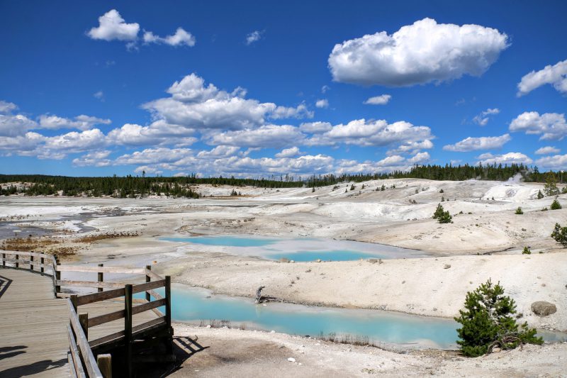 Norris Geyser basin