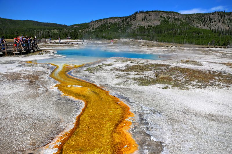 Cookies Basin Yellowstone