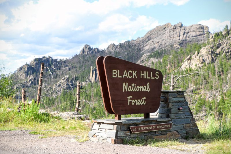 Black Hills National Forest