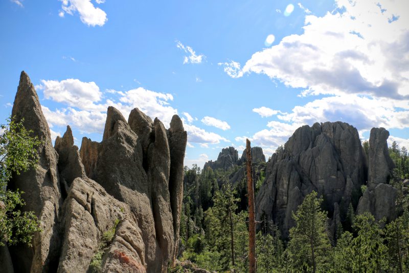 Needles Highway