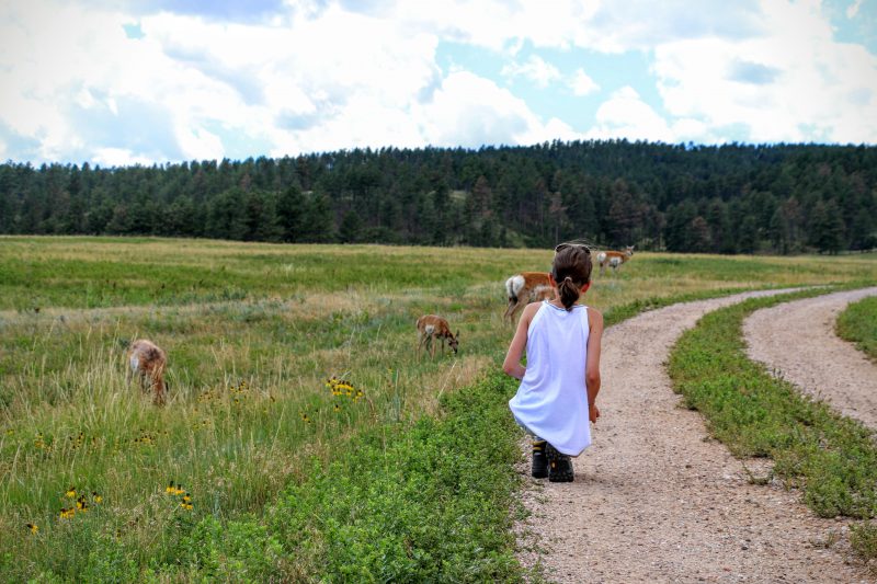 Reisverslag Custer State Park