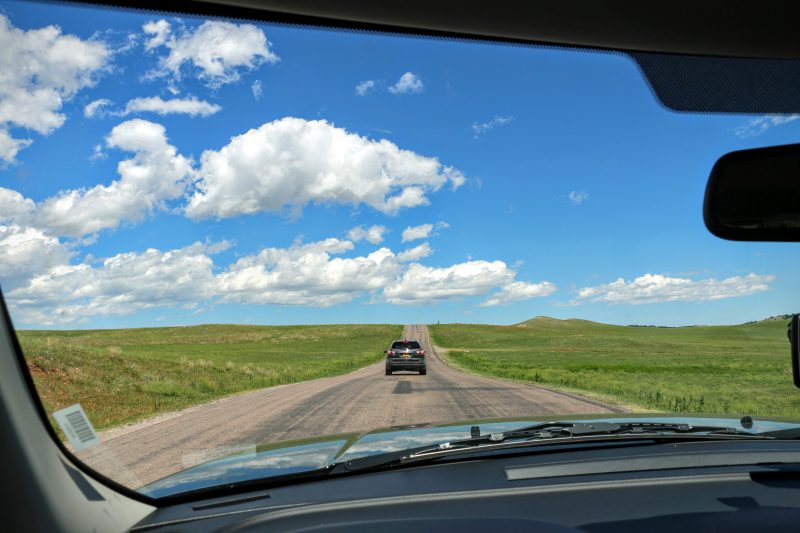 wildlife loop road custer state park