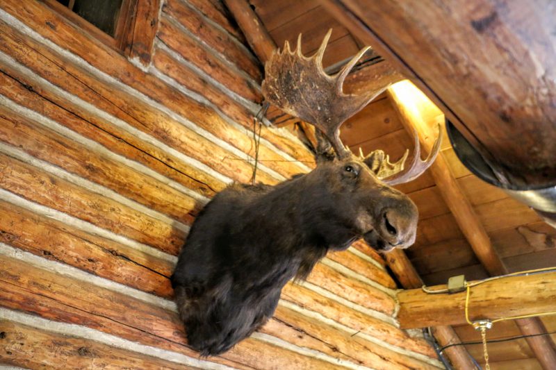 arrowhead-lodge-bighorn-national-park-restauran