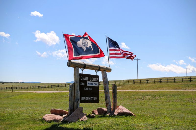 Bear Lodge Bighorn Forest