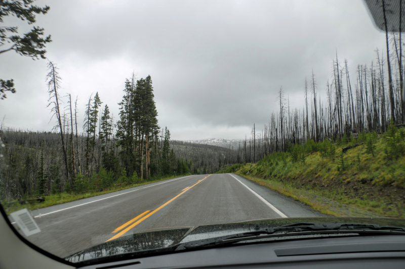 met-de-auto-in-yellowstone-np