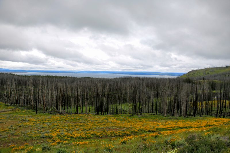 Mooie kleuren in Yellowstone