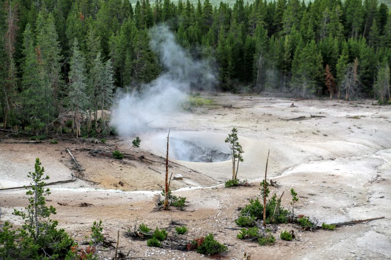 Landschap Yellowstone NP