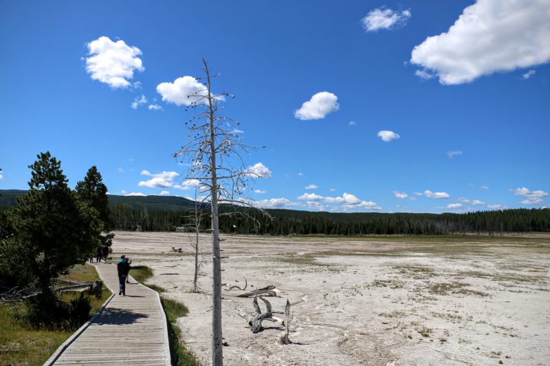 Fountain Paint Pot Trail Yellowstone