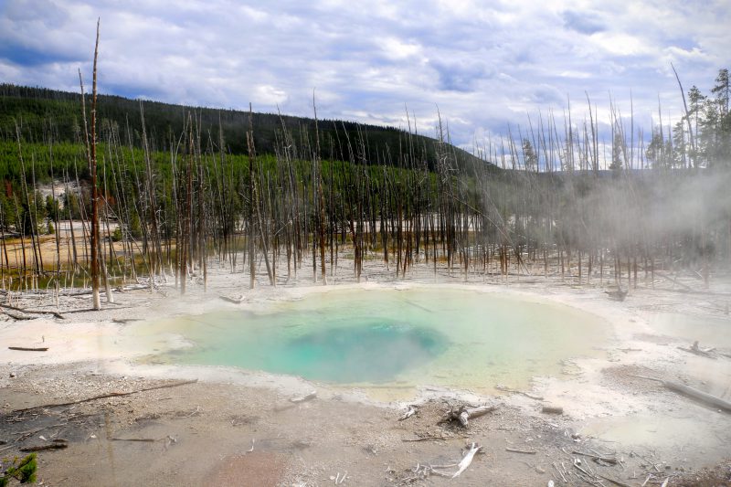 Norris Geyser Basin Yellowstone