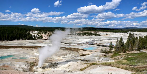 Norris Geyser Basin