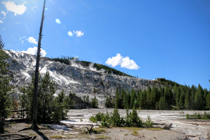 Roaring Mountain Yellowstone Park