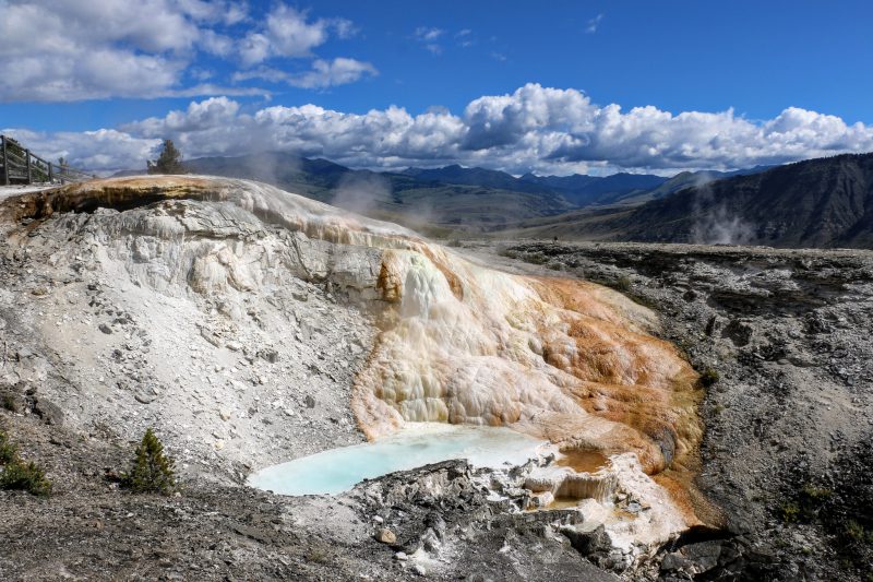 Upper terrace Mammoth Hot Springs