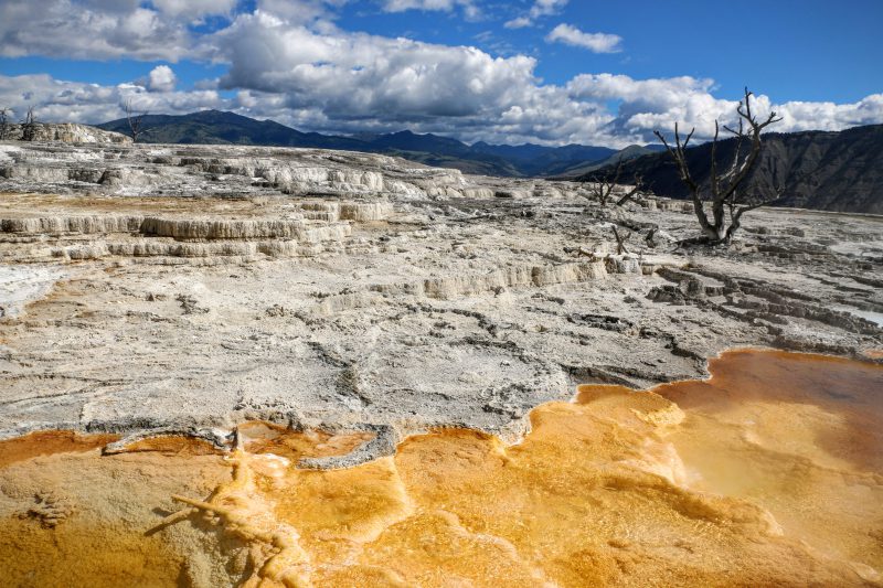 Upper-terraces Yellowstone