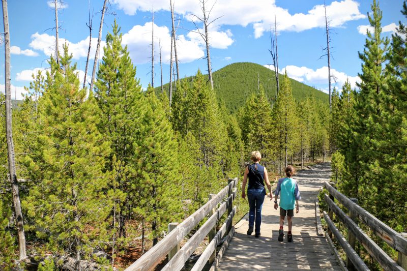 Wandelen in het mooie Yellowstone