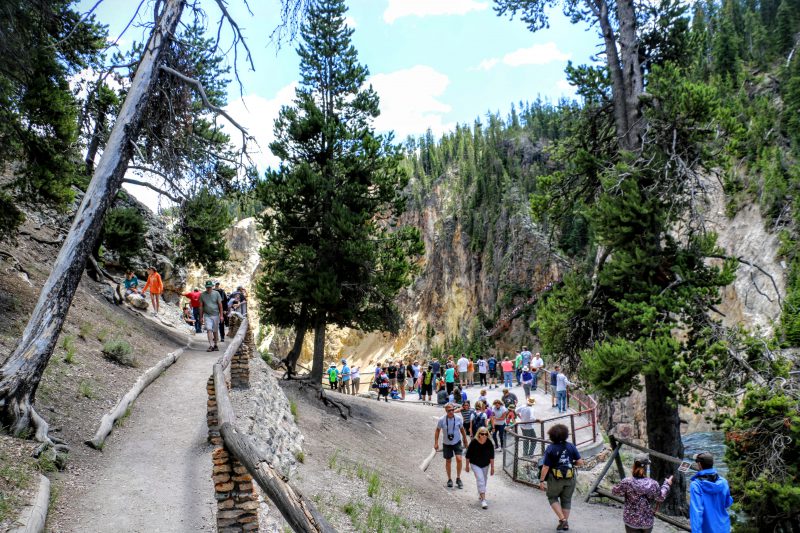 Wandeling naar Upper Falls of the Yellowstone