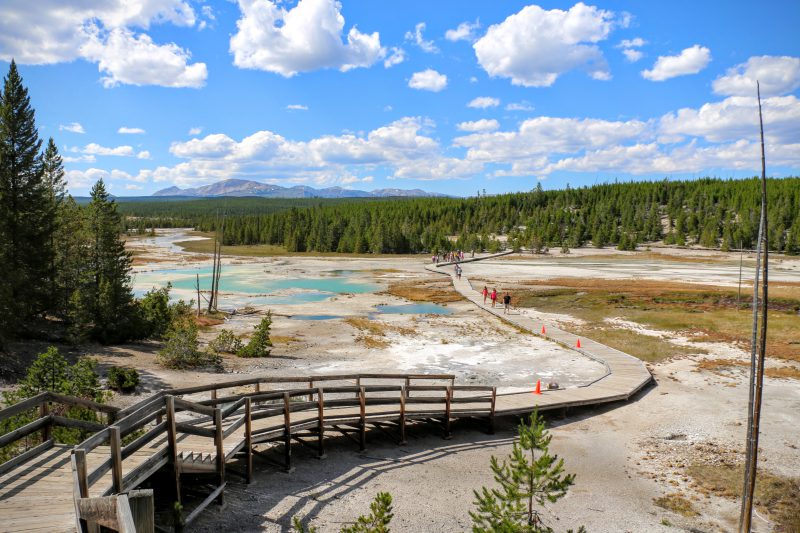 Wandelpad Norris Geyser