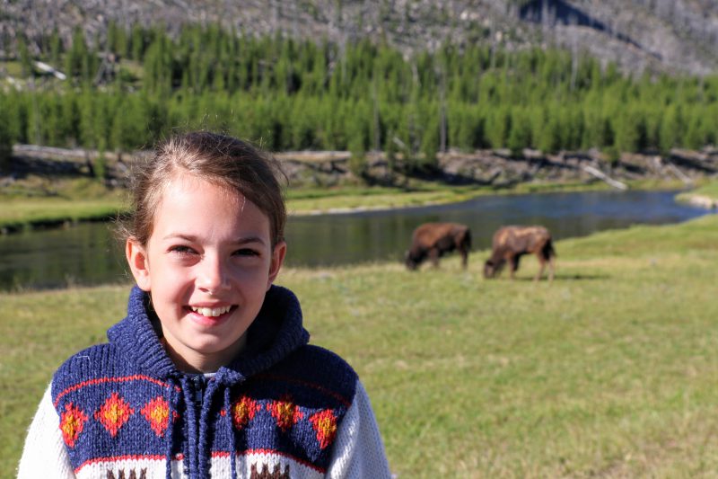 Dieren in Yellowstone