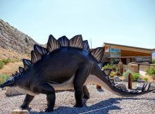 Dinosaur Quarry Visitor Cente