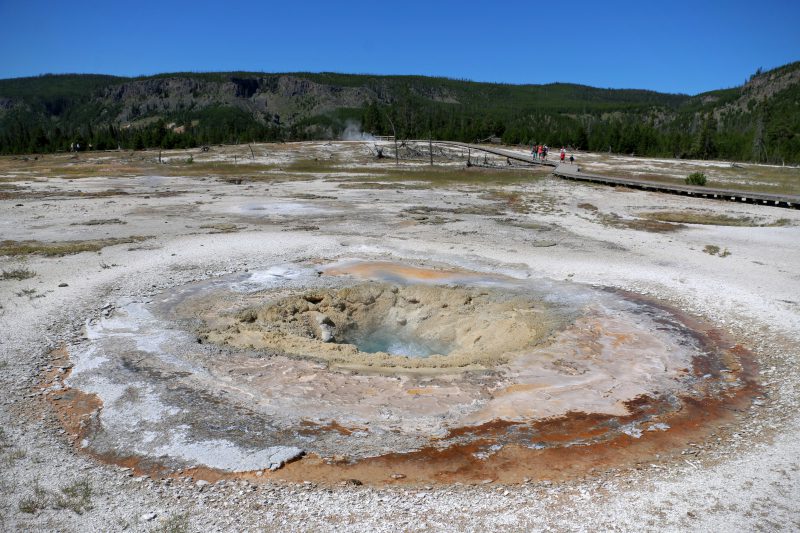 Jewel Geyser Yellowstone