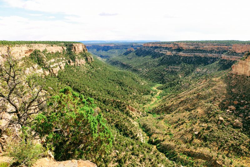 Navajo Canyon Overlook