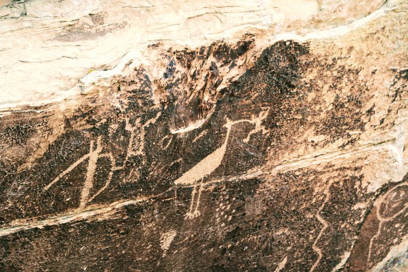 petroglyphs petrified forest