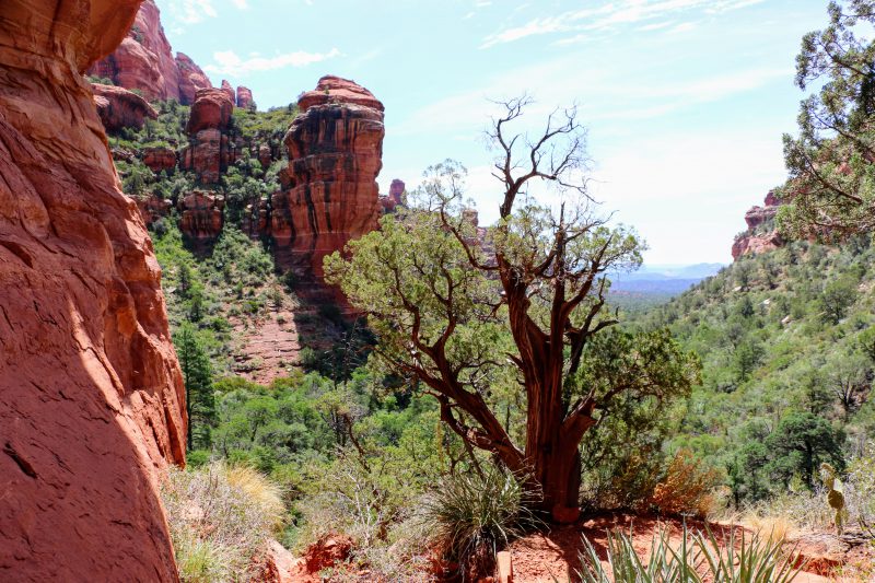 Sedona Red Rocks