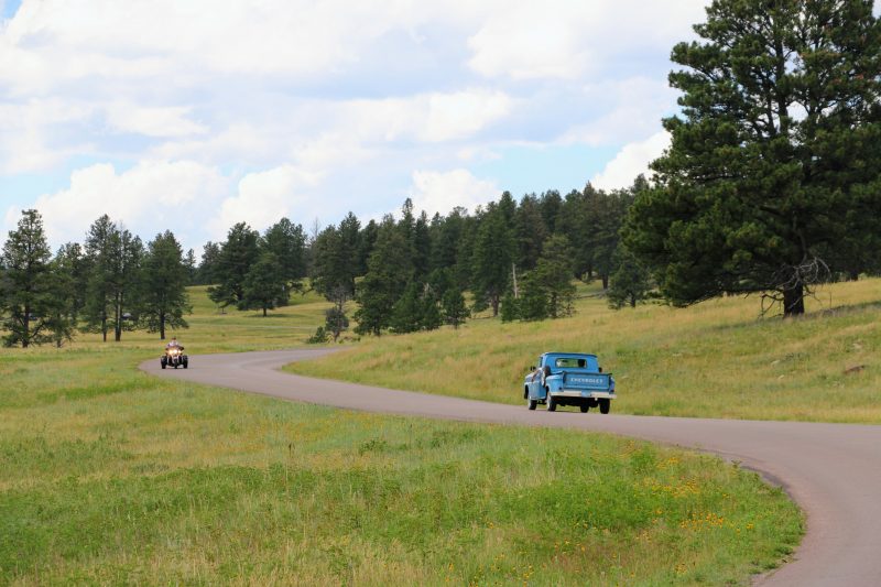 Wildlife loop Custer State Park