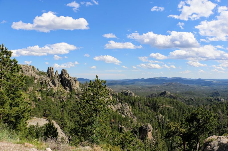 Needles Highway ervaringen