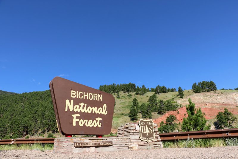 Bighorn National Forest bord